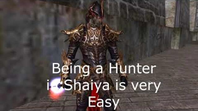 Being a Hunter in Shaiya be like