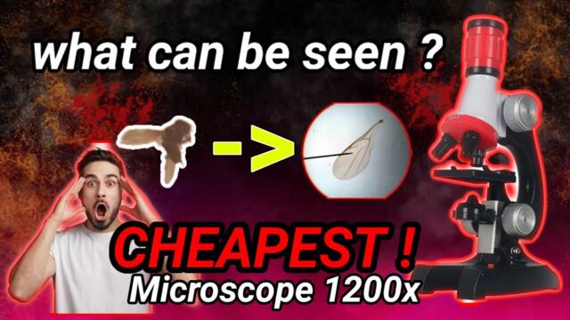 Cheapest Microscope