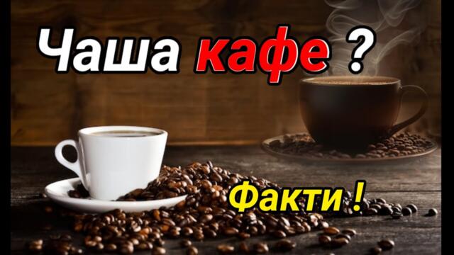 Интересни факти за кафето