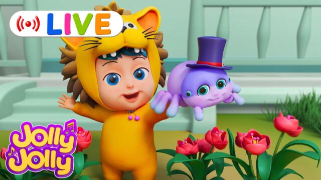 LIVE🔴🕷Itsy bitsy spider🕷, Wheels on the bus + More | Jolly Jolly & Animals - Best Kids Songs!