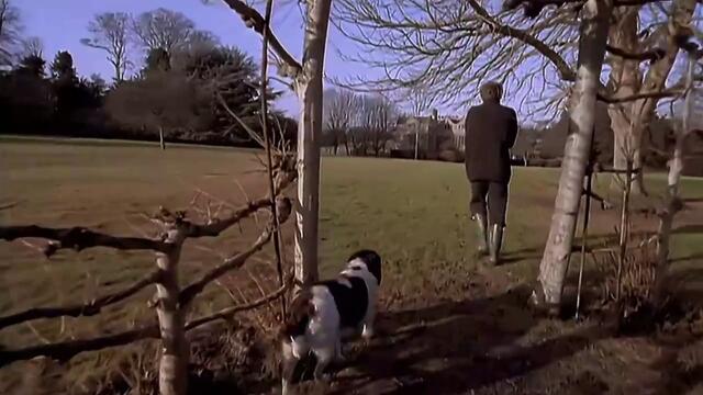 Sting - Shape of My Heart