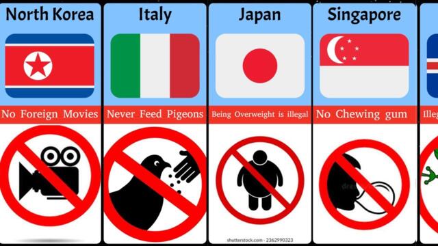 Weird Laws From Different Countries.