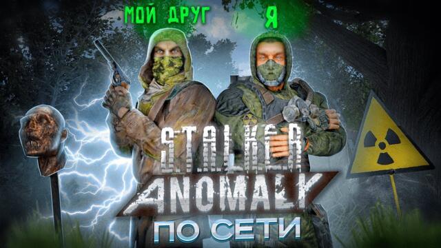 КАК ПОИГРАТЬ В STALKER ANOMALY С ДРУГОМ? [Anomaly Together]