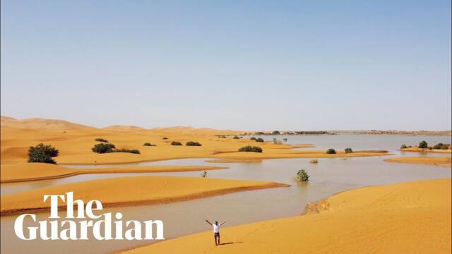 Drone footage shows rare flooding in the Sahara desert