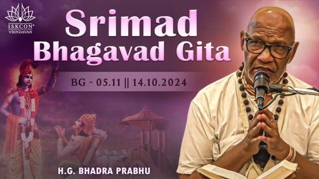 H.G. Bhadra Prabhu || BG - 05.11 || 14.10.2024