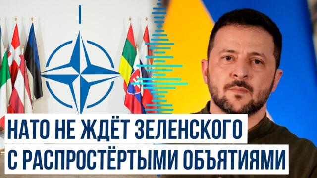 Постпред США при альянсе прокомментировала перспективу вступления Киева в НАТО