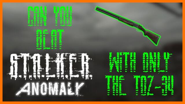 Can You Beat Stalker With Only The Toz-34?