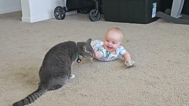 Baby And Cat Playing On The Carpet