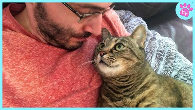 This is why you should have a cat ❤️ Cat and Human Moments