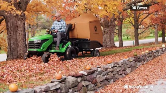 Maintaining a healthy lawn during fall season