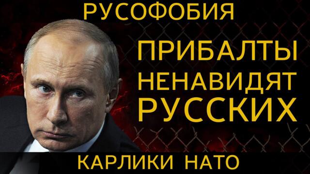 ПОЧЕМУ прибалты НЕНАВИДЯТ русских? РУСОФОБИЯ и КАРЛИКИ НАТО