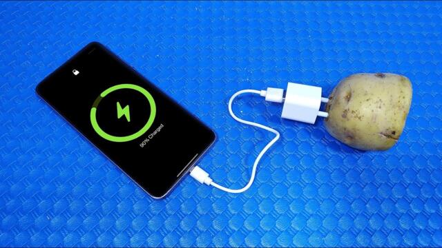 How to generate free electricity with potato (charge your phone) | Simple Tips