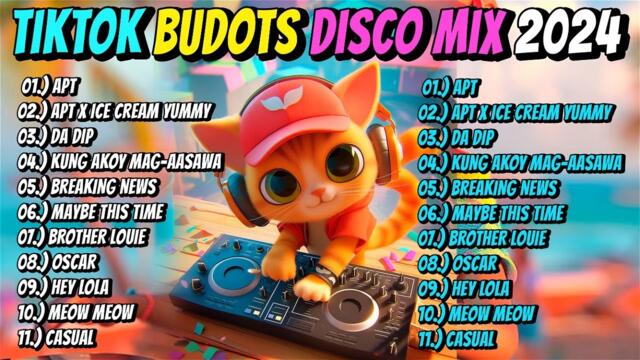 New VIRAL TIKTOK DISCO PARTY 2024 - DJ JOHNREY DISCO REMIX