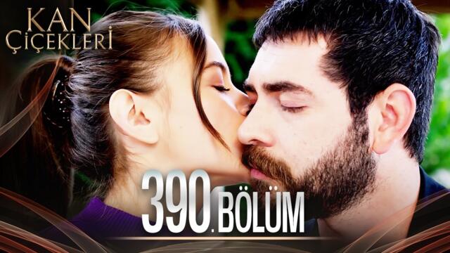 Kan Çiçekleri 390. Bölüm