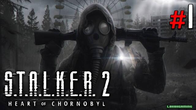 Stalker 2 Heart of Chornobyl - Español #1 - Impresiones - Primeros Pasos - Xbox Series X Gameplay