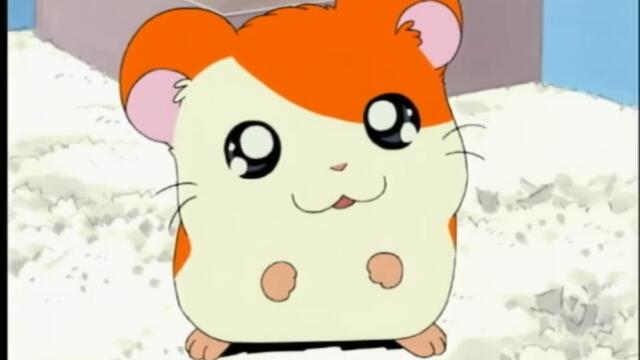 Hamtaro S01-E02