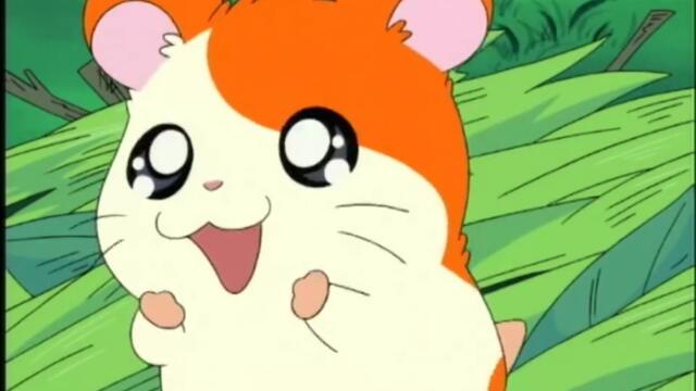 Hamtaro S01-E03