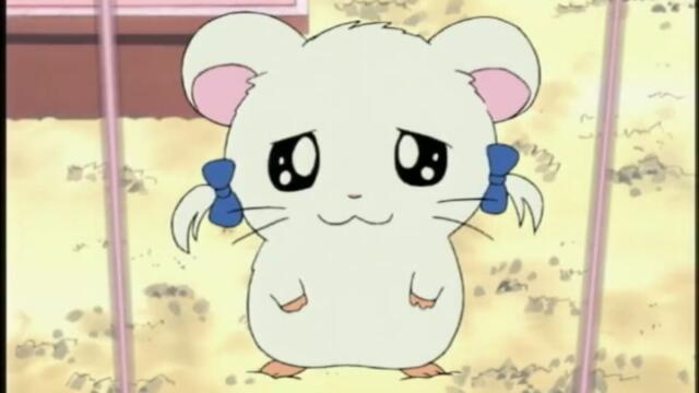 Hamtaro S01-E04