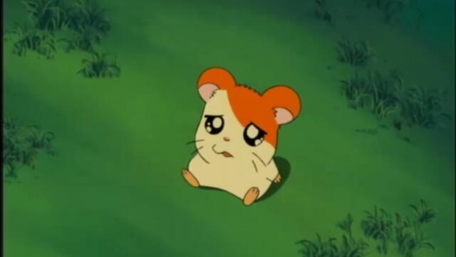 Hamtaro S01-E05