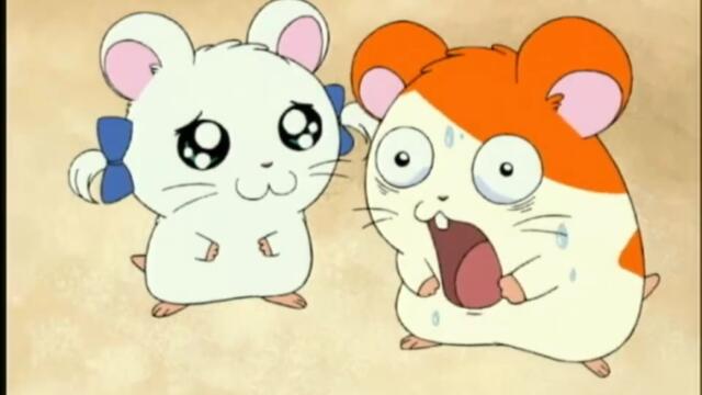 Hamtaro S01-E06