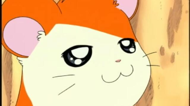 Hamtaro S01-E07