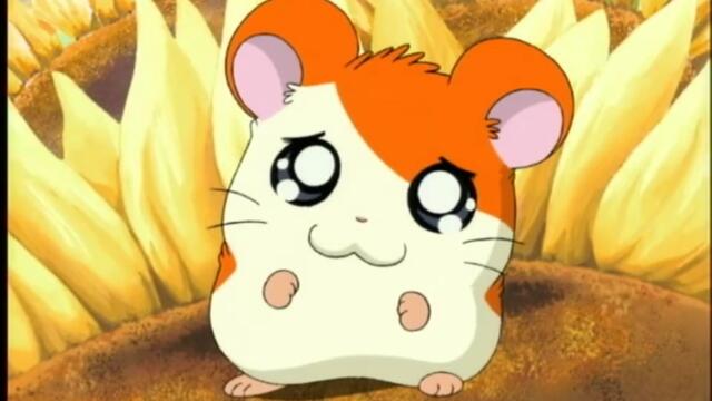 Hamtaro S01-E08