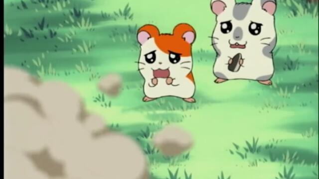 Hamtaro S01-E09