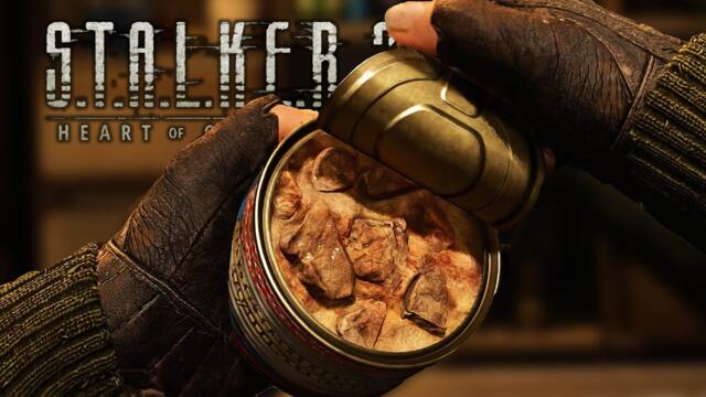 Stalker 2 - All Food/Drinks/Healling Animations | 4K