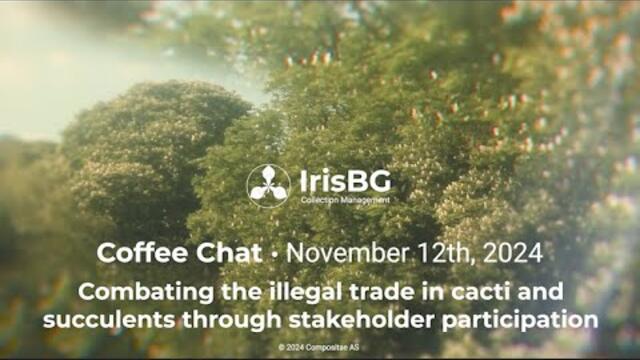 Combating the illegal cactus trade | November Coffee Chat 2024