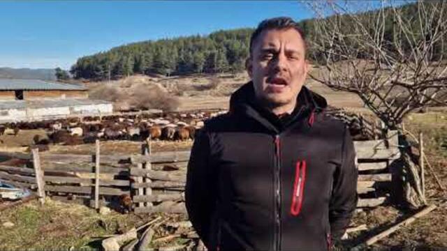 Пасищата ли са в основата на проблема с чумата във Велинград?