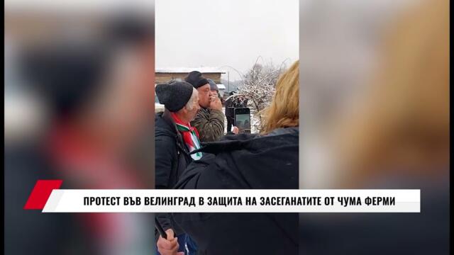 ПРОТЕСТ ВЪВ ВЕЛИНГРАД В ЗАЩИТА НА ЗАСЕГНАТИТЕ ОТ ЧУМА ФЕРМИ