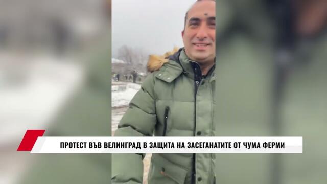 ПРОТЕСТ ВЪВ ВЕЛИНГРАД В ЗАЩИТА НА ЗАСЕГНАТИТЕ ОТ ЧУМА ФЕРМИ