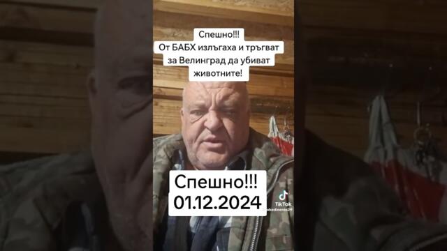 Чумата по овцете и БАБХ, бухалката на ГЕРБ - Стадото овце от Велинград Събудете се!