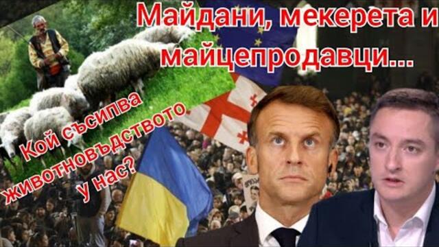 Стада, бухалки политически игри! Божанков, Макрон и ситуацията в Украйна и Грузия!