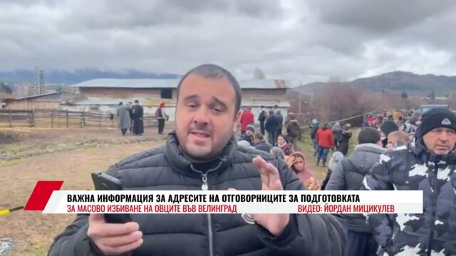 ИНФОРМАЦИЯ ЗА АДРЕСИТЕ НА ОТГОВОРНИЦИТЕ ЗА ПОДГОТОВКАТА ЗА МАСОВО ИЗБИВАНЕ НА ОВЦЕТЕ ВЪВ ВЕЛИНГРАД