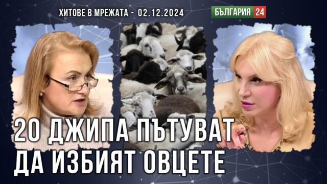 Катинчарова: Властта ще избие овцете, за да грабне 28 милиона евро от ЕС и пасищата да станат солари