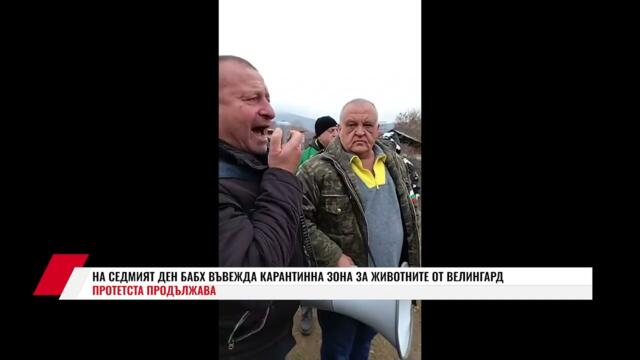 БАБХ ВЪВЕЖДА КАРАНТИННА ЗОНА ЗА ЖИВОТНИТЕ ВЪВ ВЕЛИНГРАД