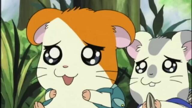 Hamtaro S01-E40