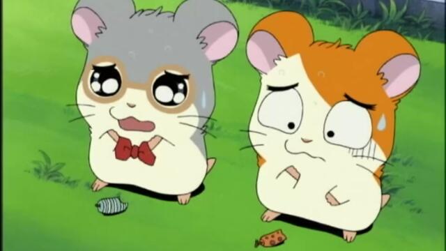 Hamtaro S01-E41