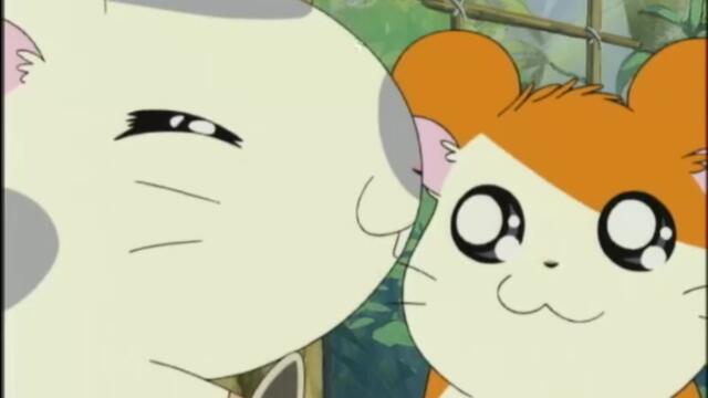 Hamtaro S01-E42