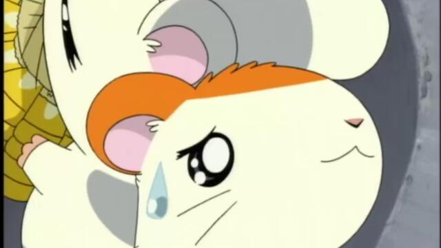 Hamtaro S01-E43