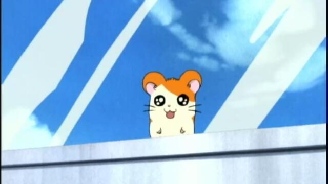 Hamtaro S01-E44