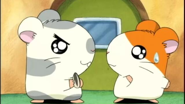 Hamtaro S01-E45