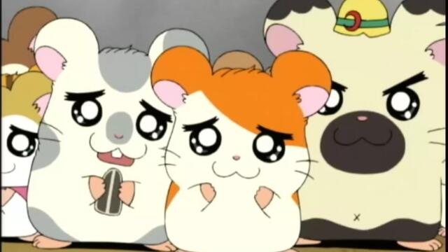 Hamtaro S01-E46