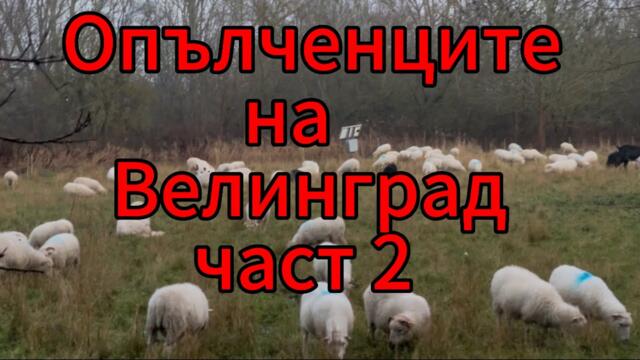 Опълченците на Велинград част 2 - А как е в Германия?