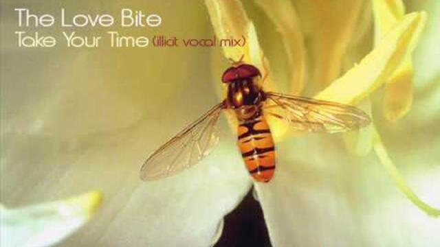 The Love Bite - Take Your Time (illicit vocal mix)