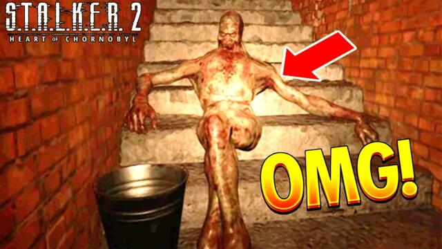 S.T.A.L.K.E.R. 2 Funny and Epic WTF Moments 3