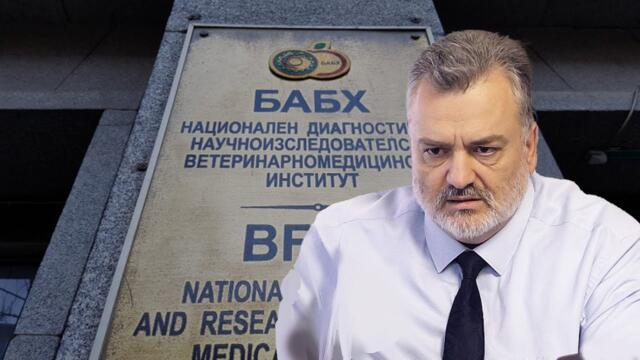 Чумата по овцете. БАБХ бяха осъдени, искат да станат рецидивисти с втора присъда.