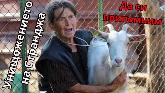 Архив от 2018г: Лъжите на държавата - Лятото, в което унищожиха овцете и козите в Странджа!