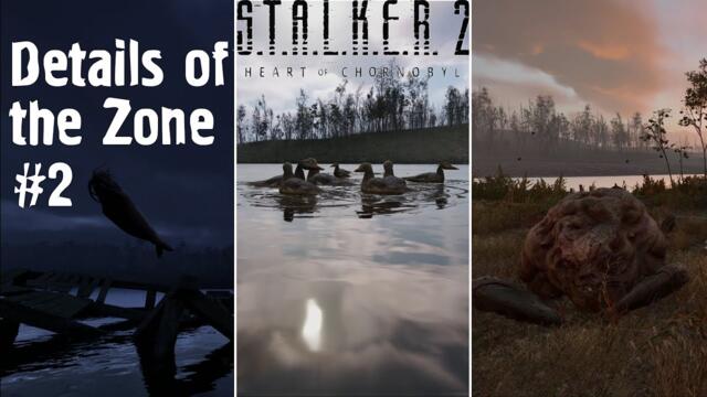 8 cool details you didn't notice in the zone #2 (S.T.A.L.K.E.R 2)